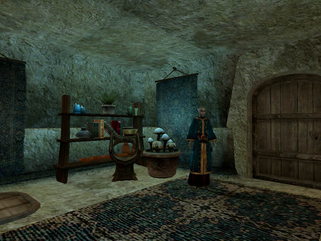 File:Telvanni Canton, The Mage Morrowind.png