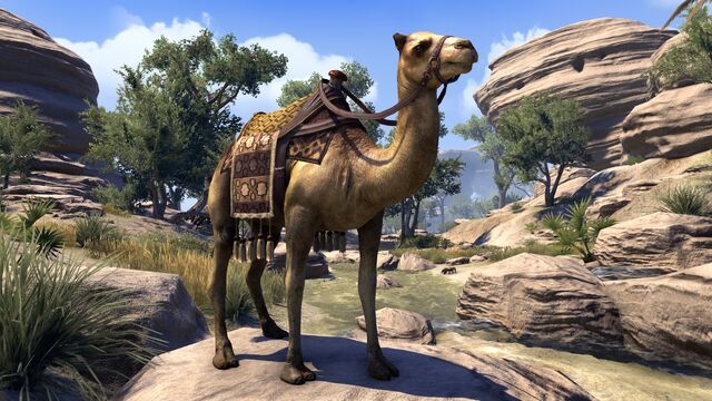 File:Camel TES online.jpg
