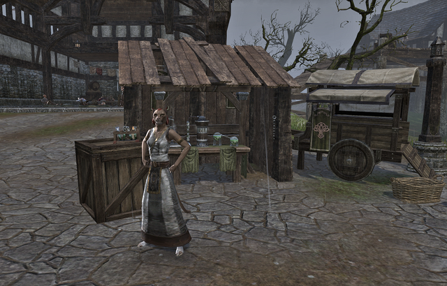 File:Elamusa's Marvelous Elixirs.png