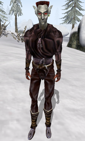 File:Ranes Ienith Morrowind.png