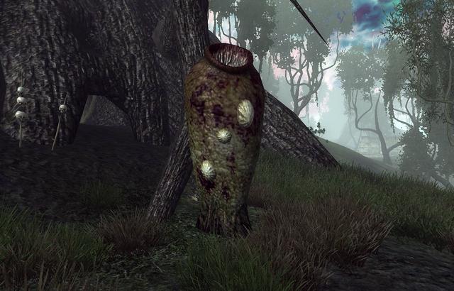 File:Letifer Orca Planta.png