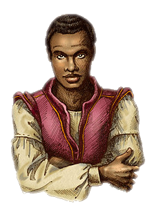 Redguard1.png