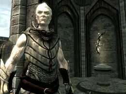 800px-SR-npc-Knight-Paladin Gelebor 02.jpg