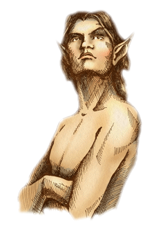 WoodElf.png
