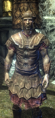 Kaiserlicher Soldat in leichter Ruestung.png