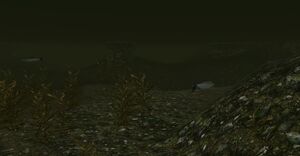ScreenShot31.jpg