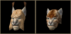 Khajiit (Morrowind)