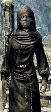 Atub..png