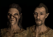 243px-281px-Bosmer (Skyrim).png