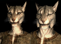 SepLnUp Khajiit a1&c1.png