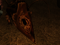 Texture kwama queen bug