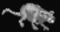 Rat (Arena).png