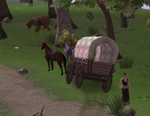 WNBrokenWagon