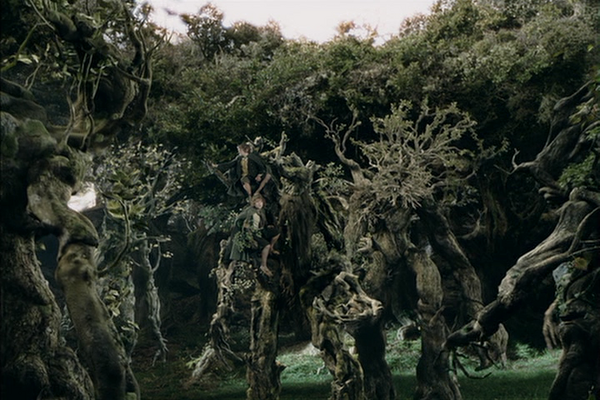 Camara de los ents.png