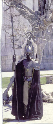 Guardia de la ciudadela.jpg