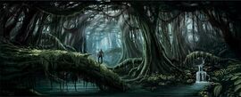 Bosque viejo.jpg