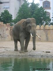 Mekong1.jpg