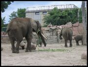 Tierpark Berlin4.jpg