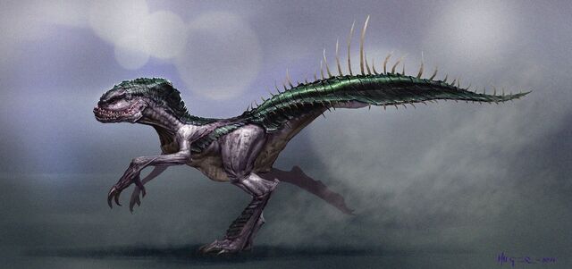 Plik:Raptor.jpg