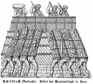 Roman Testudo