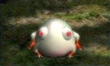 Wollywog