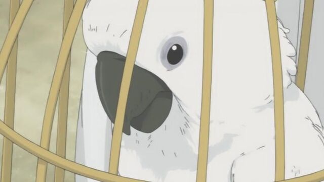 File:Ilse'sBird.jpg