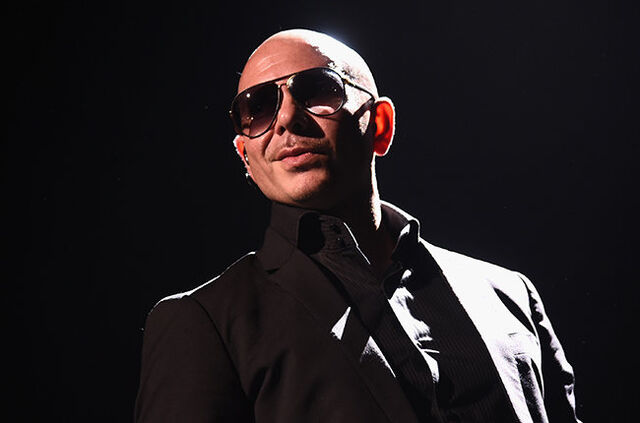 File:Pitbull.jpg