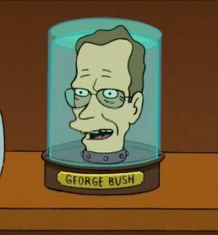 File:Bush.jpg