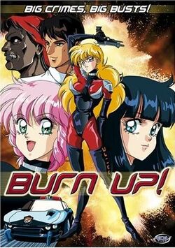 Burn-Up
