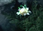 AlenaFlower.png