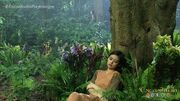 Alena sleeping on a tree
