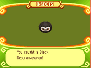 Black Keseranpasaran