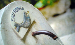 Acqua potabile