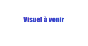 Visuel