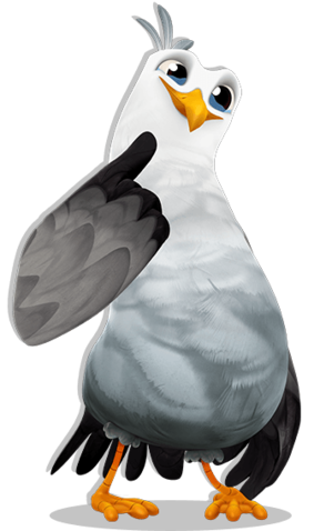 File:Gull-1.png