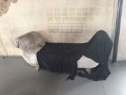 Faintingcouch