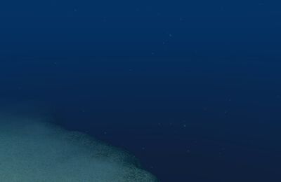 Open Sea