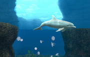 Wikia-Visualization-Main,endlessocean