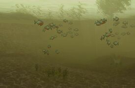 EO2PerilousWaters