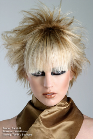 File:SarahBaker model6.png