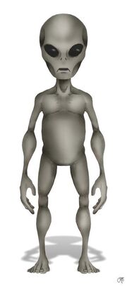 Grey.jpg
