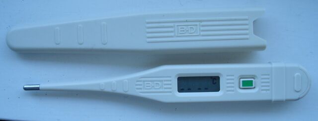 File:Digital-thermo.jpg