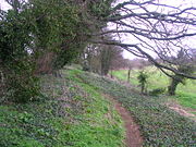 -North bank of outer bailey Deddington Castle