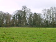 Outer bailey looking south
