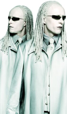 Arquivo:Twins2.jpg