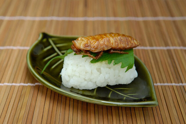 File:Cockroachsushi.jpg