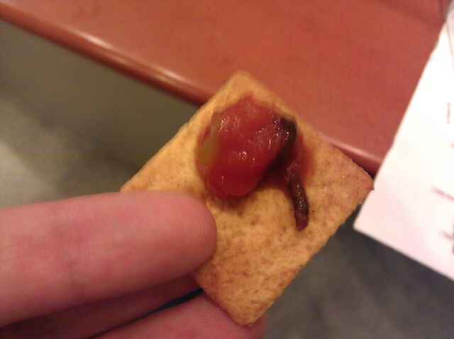 File:Mealworm salsa.jpg