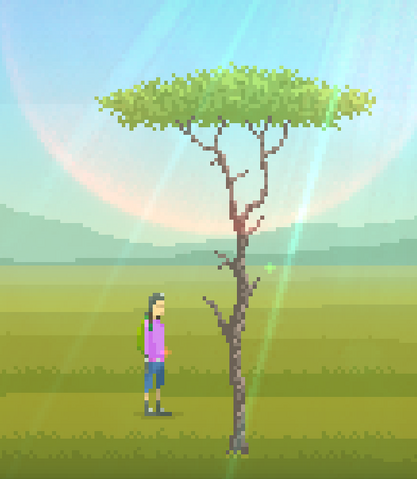File:Conifer.png