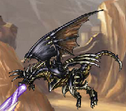 Black Dragon