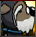 NinDog1